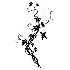 A sinuous black vine climbs elegantly, adorned with stylized leaves, isolated on white background