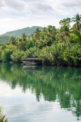 Vertical image of a baot floating on the emerald green waters of the Loboc River with the reflection of palm trees and lush greenery in the water outdoor at daytime on Bohol island in the Philippines.