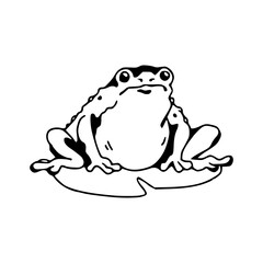 cartoon toad outline on water lily