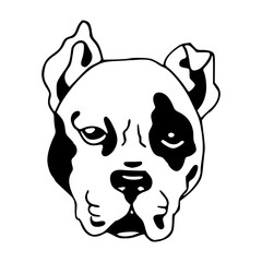 strong dog face with black spots vector art