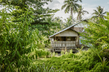 The building exterior of a wooden house made with natural materials surrounded by tropical greenery like palm trees outdoor at daytime in the nature of Siargao island in the Philippines in Asia.
