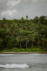 Obraz premium Vertical image of a beautiful background of palmtrees along the coastline at the surfers place of Pacifico Beach outdoor at daytime on Siargao island in the Philippines in Asia with space for text.