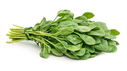 Vibrant bundle of freshly harvested spinach leaves, showcasing natural green hues