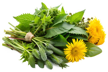 Freshly Picked Wild Herbs - Plantain, Nettle and Dandelion Leaves on Wooden Table, isolated on white. Generative AI