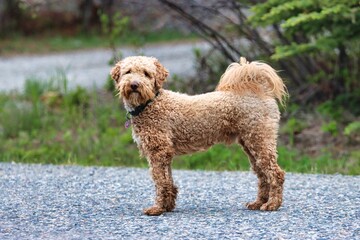 Yukon Territories, Canada