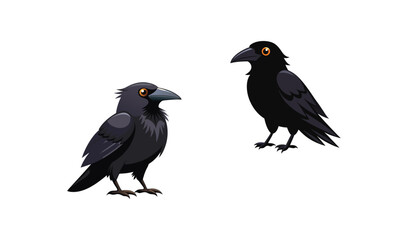 Fototapeta premium Two Cartoon Crows Illustration of Black Birds with Golden Eyes on White Background
