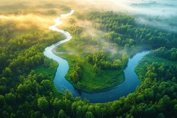Aerial view of a winding river meandering through a lush green forest with morning mist creating a serene and mystical atmosphere