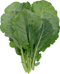 Collard Without Background