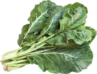 Collard Without Background