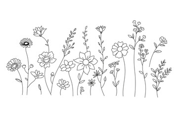Line art wildflower illustration