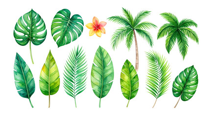 Obraz premium Set of green leaves including palm trees, ferns, isolated on white background.