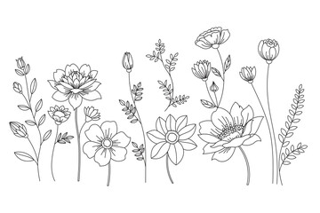 Elegant floral line art of various flowers and leaves
