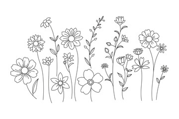 Line art illustration of various wildflowers