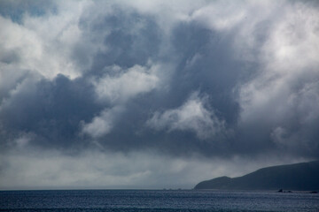 奄美大島の自然。