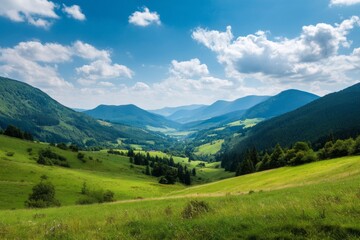 Fototapeta premium Serene Mountain Valley Landscape Lush Green Meadows and Coniferous Forests Under a Blue Sky with Fluffy Clouds