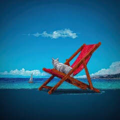A cat relaxing on a beach chair by the sea