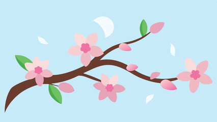 Blooming cherry blossom branch with falling petals on transparent background