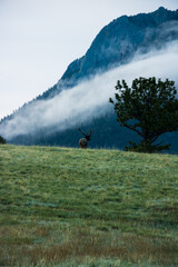 Scenic mountain landscape at Rocky Mountain National Park