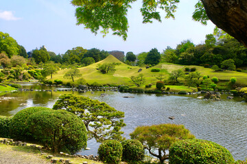 湧水池と富士山・水前寺成趣園（熊本県・熊本市）