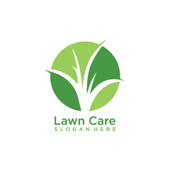 lawn care