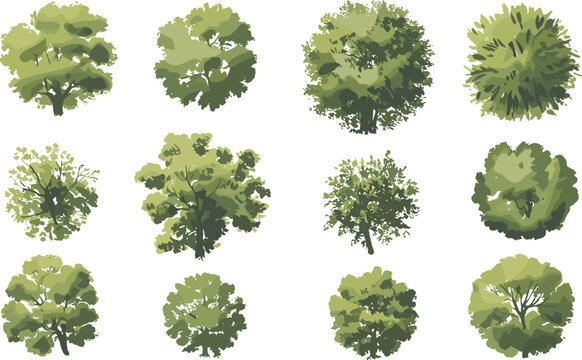 Top view green trees, landscape foliage collection, tree crown illustration, garden design elements, nature map assets, eco plant vector clipart