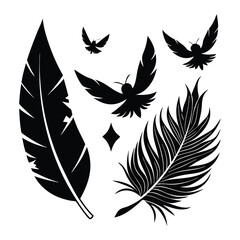 Obraz premium Feather birds svg