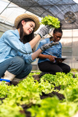 Children learn how to grow and care for vegetables in a greenhouse, with teachers teaching them closely.