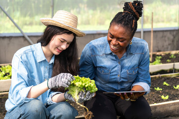 Children learn how to grow and care for vegetables in a greenhouse, with teachers teaching them closely.