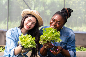Children learn how to grow and care for vegetables in a greenhouse, with teachers teaching them closely.
