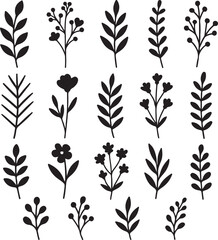 Floral herb branch elements collection botanical silhouette design vector illustration.