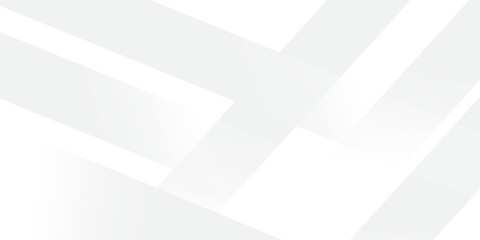 abstract gray white panoramic background There is a natural pattern in the background. vector