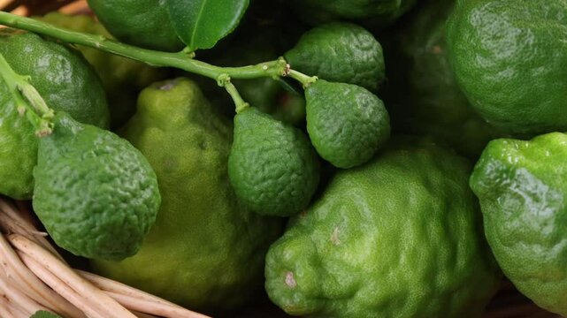 Close-up of fresh kaffir lime	
