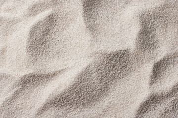 Seashells and Starfish on Soft Beach Sand – Minimal Summer Nature Background.