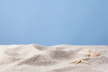 Seashells and Starfish on Soft Beach Sand – Minimal Summer Nature Background.