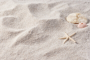 Seashells and Starfish on Soft Beach Sand – Minimal Summer Nature Background.