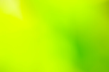 Soft-focus abstract image with a harmonious blend of yellow and green hues, creating a dreamy, blurred background. Ideal for modern design, creative projects, presentations, and visual compositions 