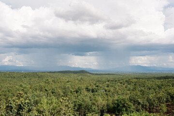 Obraz premium Vast Green Forest Landscape with Distant Rain