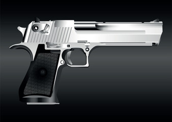 desert eagle big shot gun