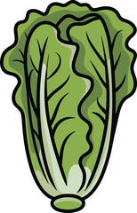 Cartoon drawing of a green long lettuce with thick black outlines