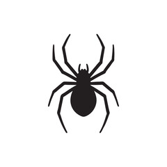 black widow spider