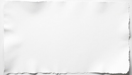 Jagged edges of white paper, distressed texture, tear, background, document