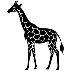 Obraz premium giraffe silhouette vector