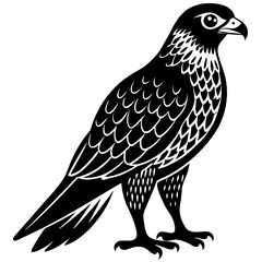 Obraz premium eagle on a white background