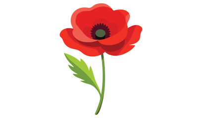 Obraz premium Single red poppy flower with green stem and leaf