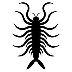 Illustration of a black centipede with many legs and antennae on a white background on transparent background