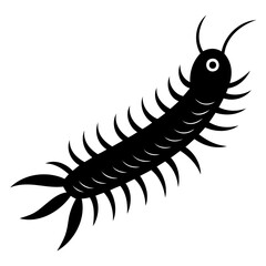 Illustration of a black centipede with many legs and antennae on a white background on transparent background