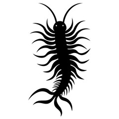 Illustration of a black centipede with many legs and long antennae on white background on transparent background