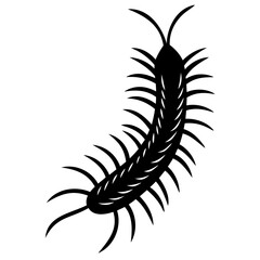 Illustration of a black centipede with many legs and antennae on a white background on transparent background