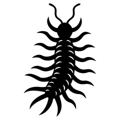 Illustration of a black centipede with many legs and antennae on a white background on transparent background