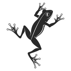 Obraz premium silhouette frog on white background